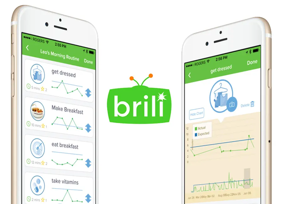 Brili Analytics project artwork